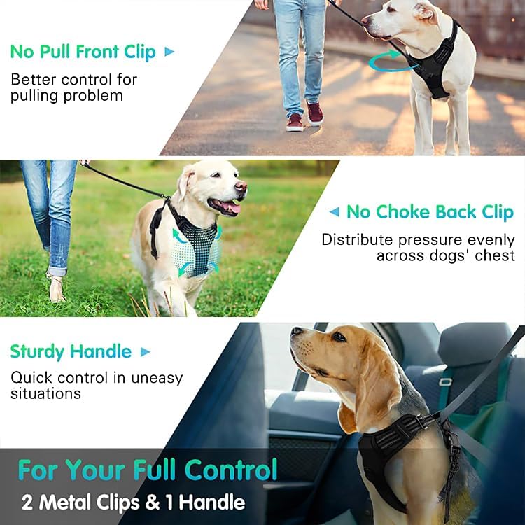 Veterinarian Recommended NO CHOKE Collar