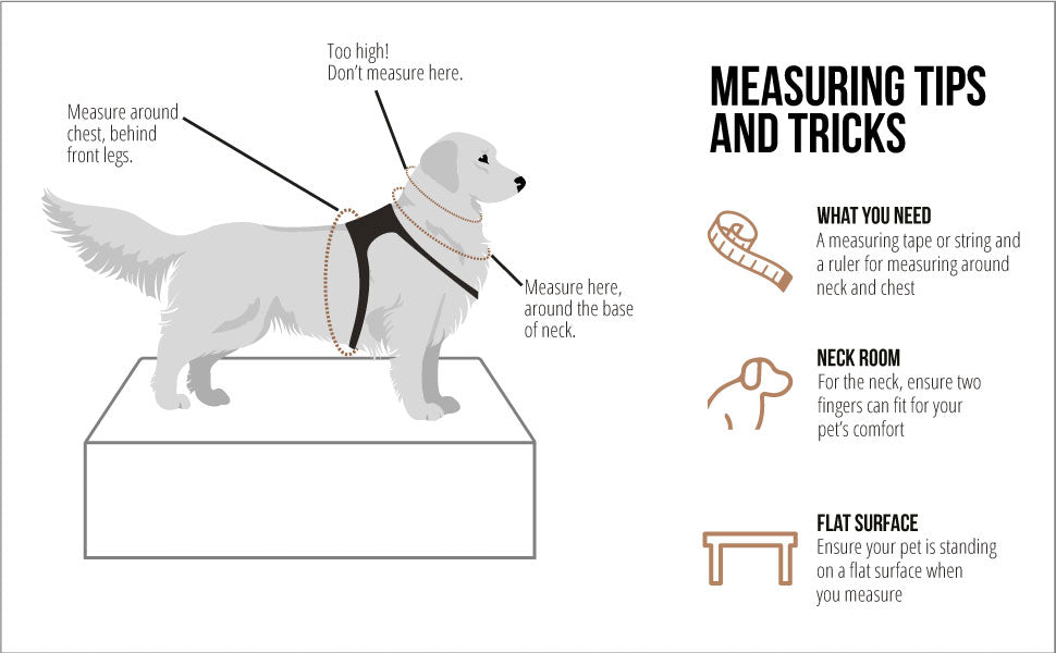 Veterinarian Recommended NO CHOKE Collar
