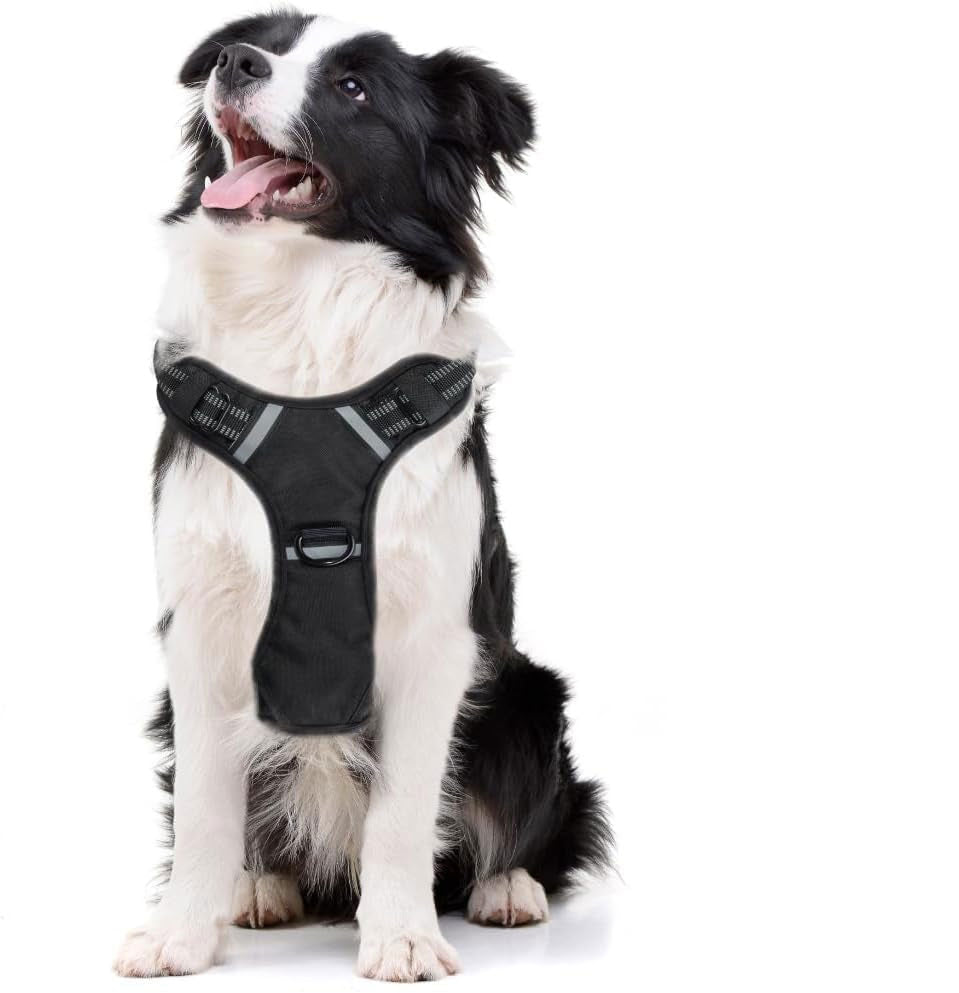 Veterinarian Recommended NO CHOKE Collar