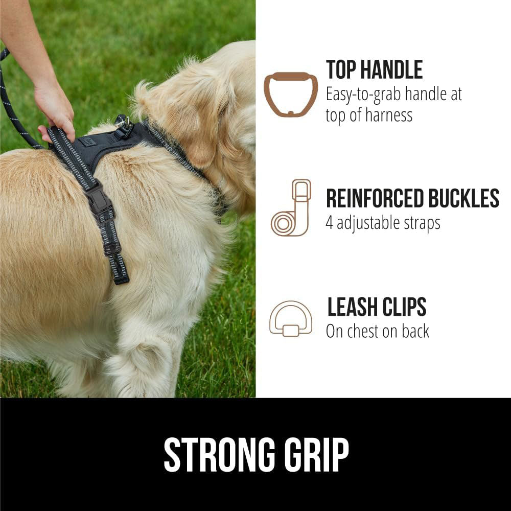 Veterinarian Recommended NO CHOKE Collar