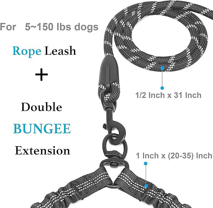 Tangle-Free Double Dog Leash with 360° Swivel | Shock-Absorbing Reflective Bungee Leash