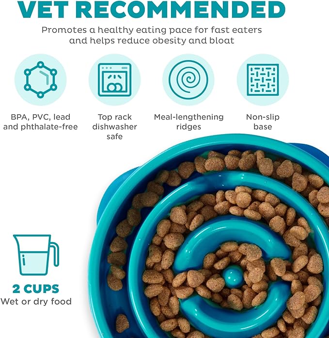Fun Feeder Slow Dog Bowl