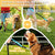 Hands Free Adjustable Waist Dog Leash with Reflective Stitches, Fits 26"- 47" Waist, 