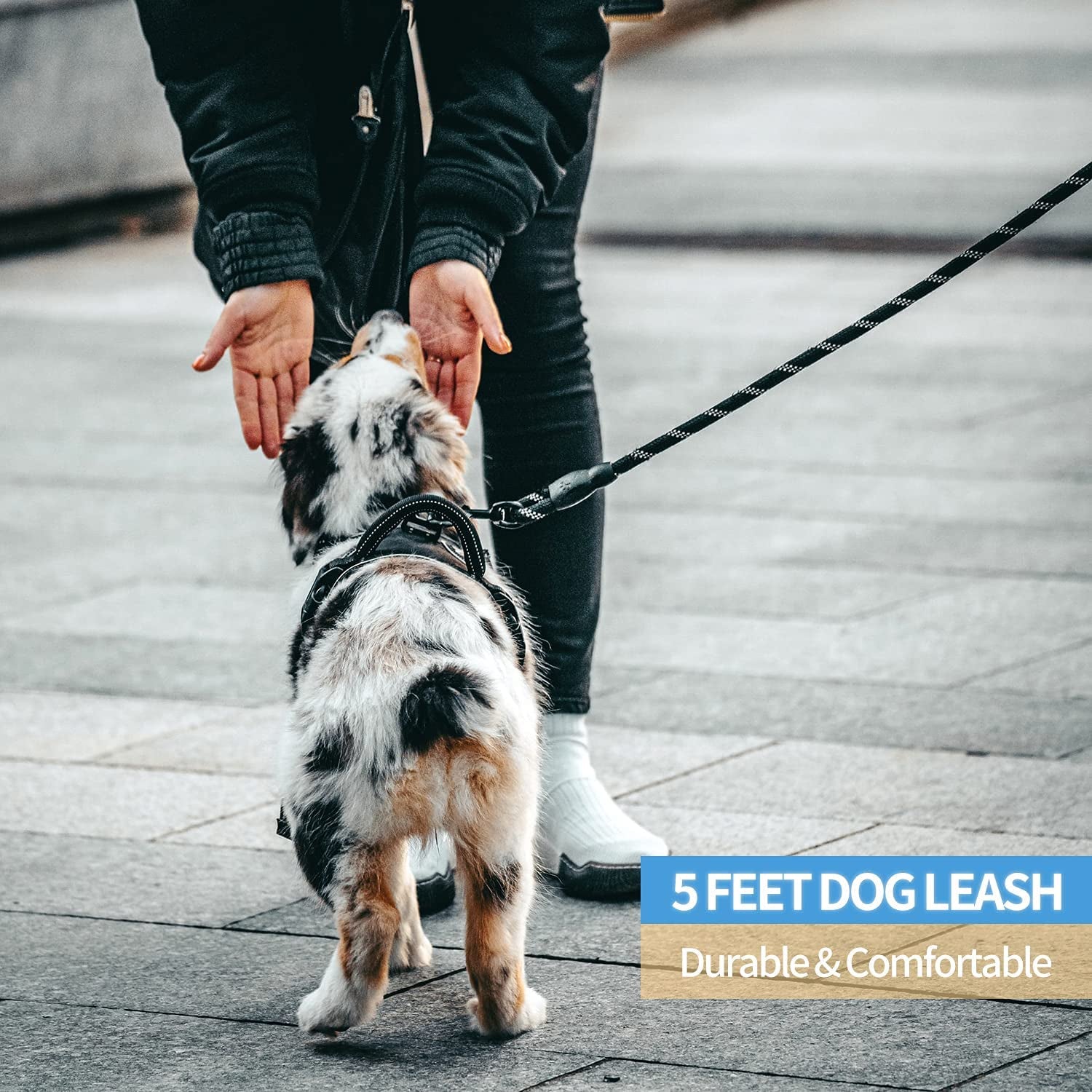 Premium Quality Nylon Reflective Dog Leash